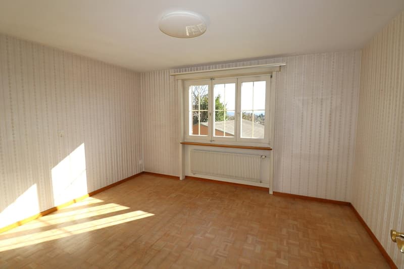 Zimmer EG