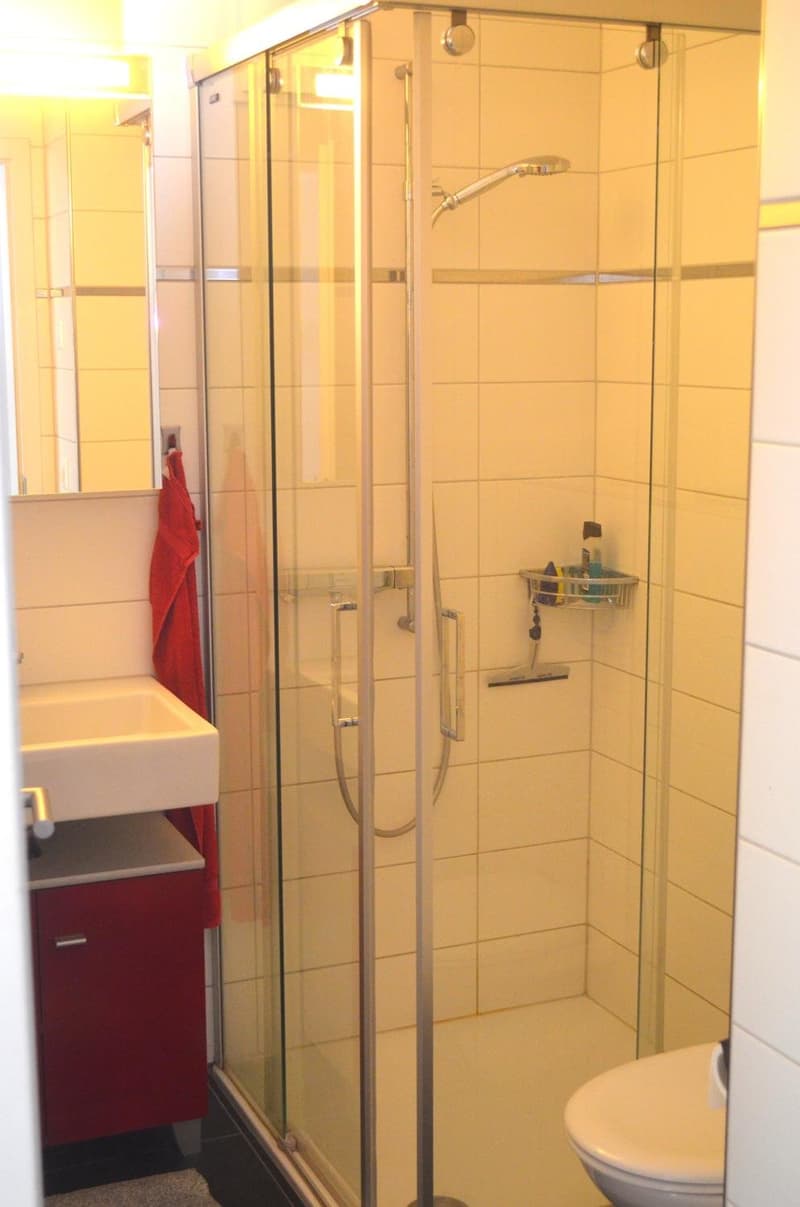 Moderne, lichtdurchflutete 3.5-Zimmer-Loft-Wohnung mit grosszügigem Balkon in Ostermundigen (9)