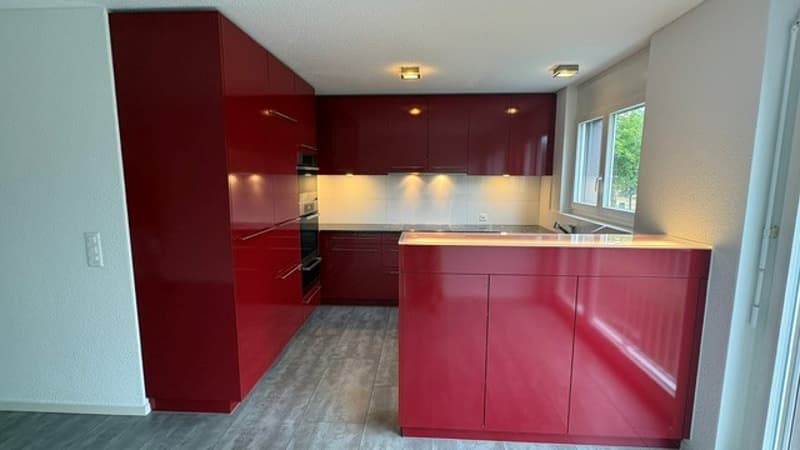 Appartement 4 1/2 pièces (1)