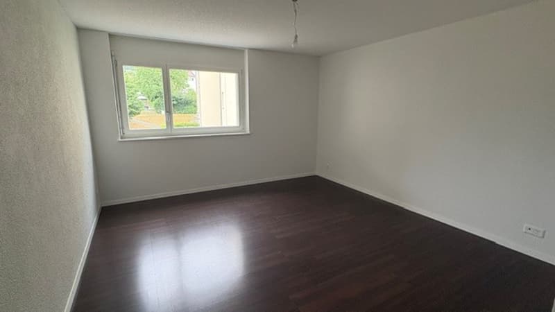 Appartement 4 1/2 pièces (5)