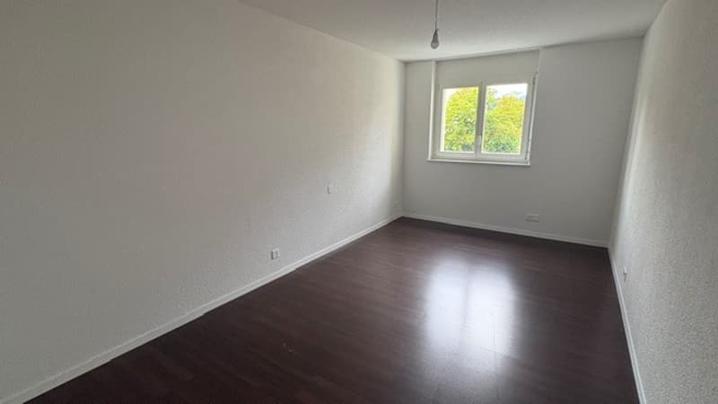 Appartement 4 1/2 pièces (6)