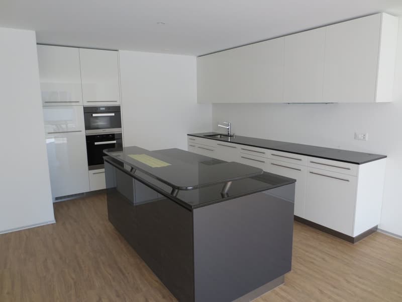 Wunderschöne 3 1/2 Zimmer-Wohnung im Erdgeschoss mit grosser Terrasse und Grünfläche (3)