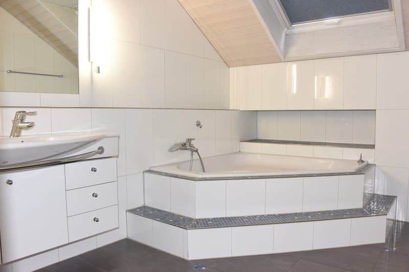 4 1/2 Zimmer Duplex-Wohnung (3)