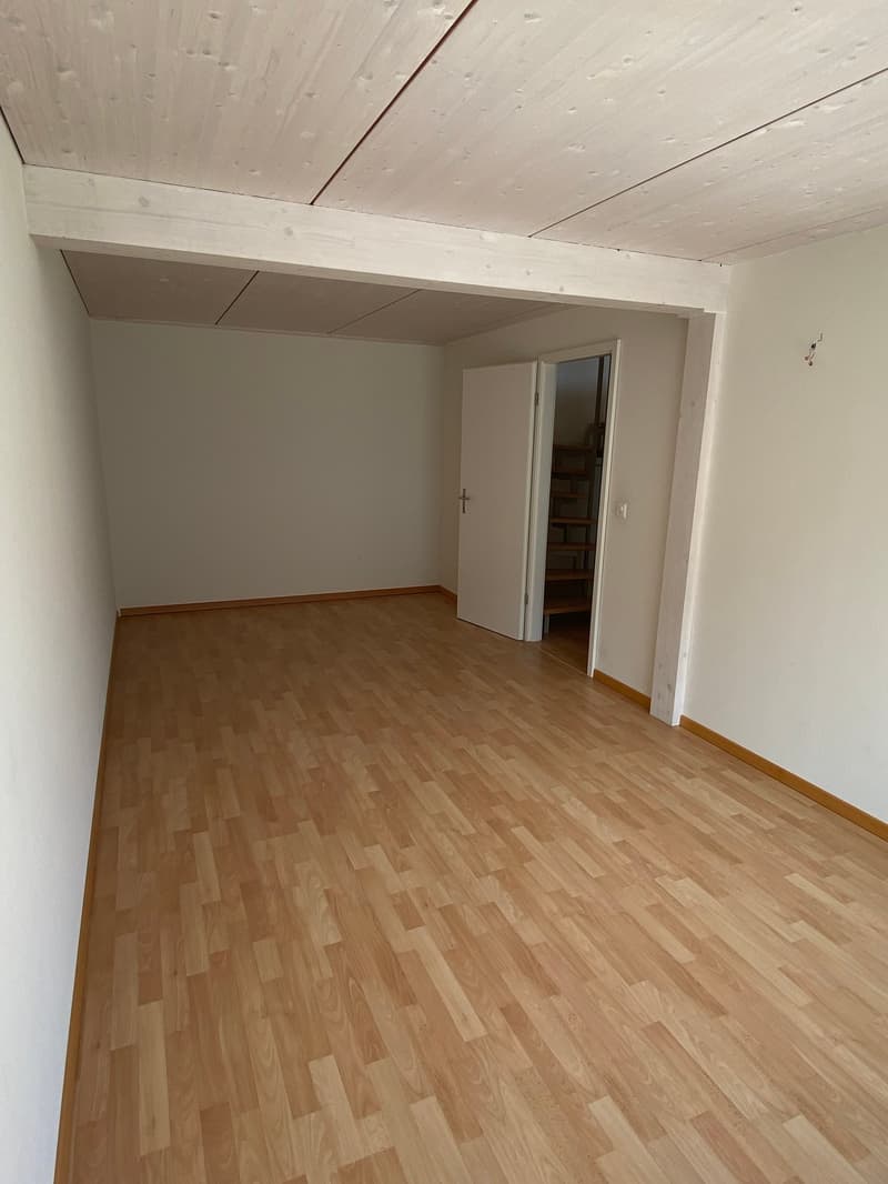 4.5 Zi, Studio, Dachterrasse und ein Garten direkt am Waldrand (4)