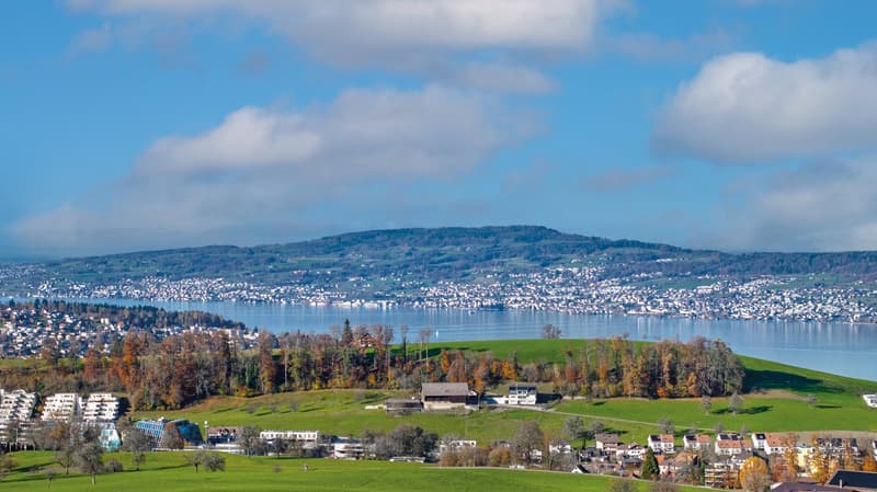 Wide aerial view of a town, lake, hills, and greenery with several buildings