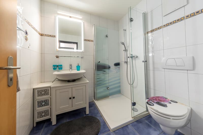 Badezimmer mit Dusche, WC und Lavabo