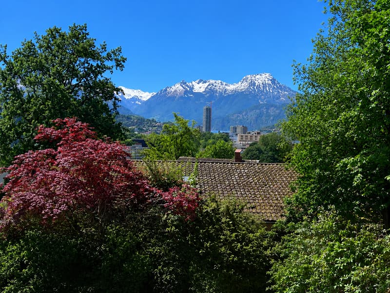Aussicht in das Horwer Seebecken und die Bergwelt