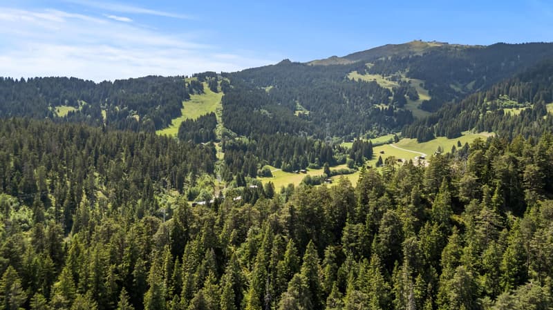 Charmante 3.5-Zimmer-Terrassenwohnung mit Ski-In/Ski-Out in Laax (8)