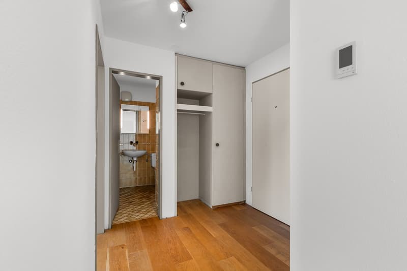 Eingangsbereich mit Einbauschrank, Garderobe und Zugang zum Badezimmer