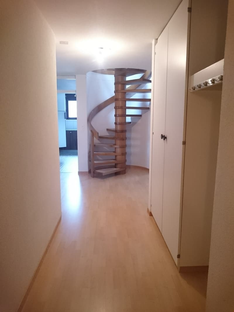 Appartement lumineux 3,5 pièces avec galerie spacieuse et cheminée (2)
