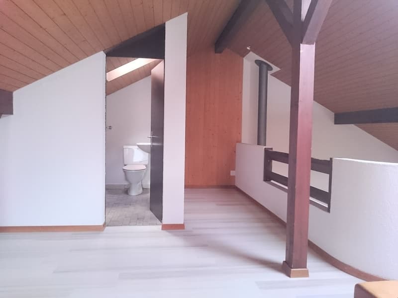 Appartement lumineux 3,5 pièces avec galerie spacieuse et cheminée (12)