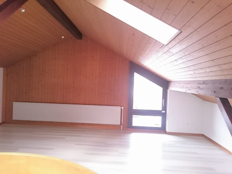 Appartement lumineux 3,5 pièces avec galerie spacieuse et cheminée (14)