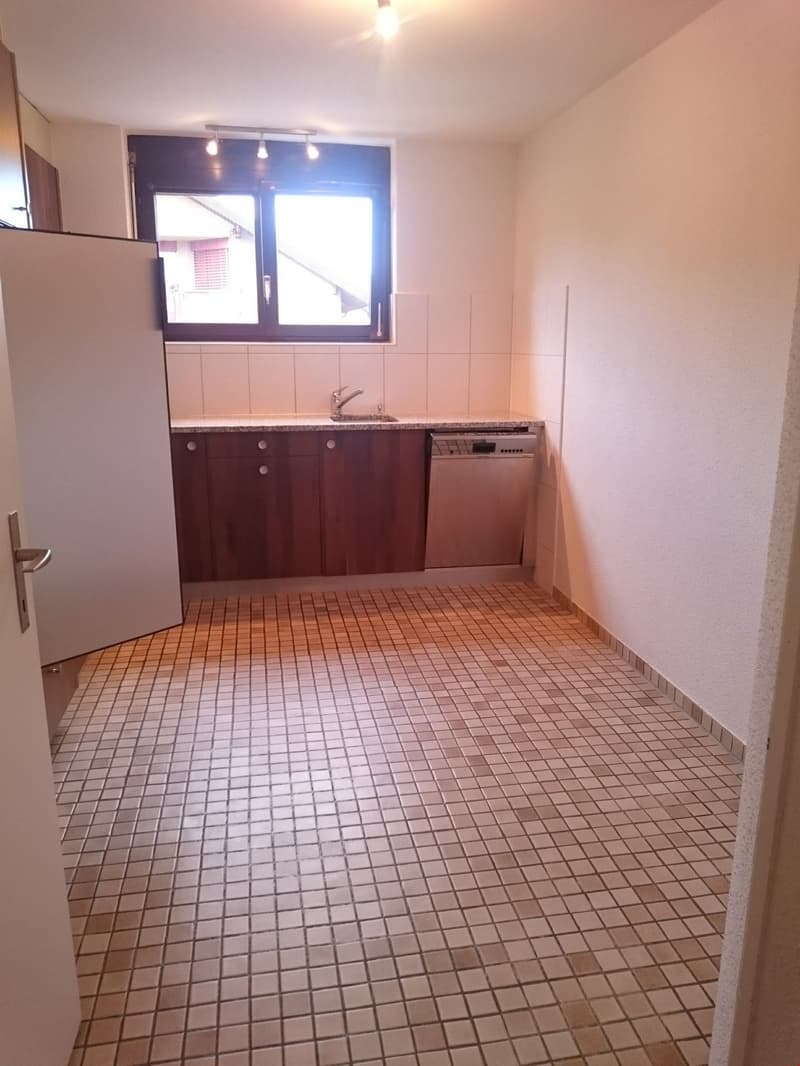 Appartement lumineux 3,5 pièces avec galerie spacieuse et cheminée (6)
