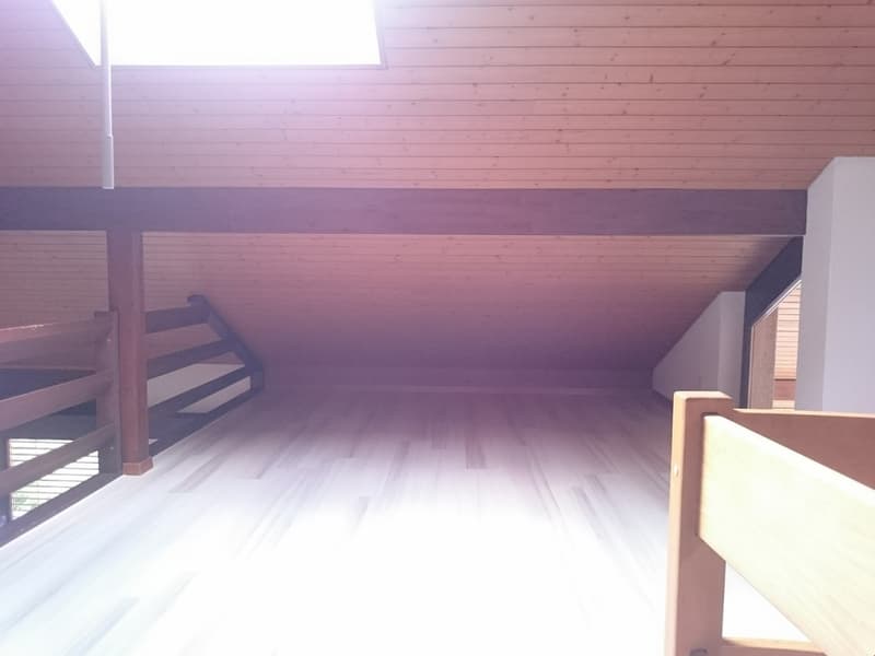 Appartement lumineux 3,5 pièces avec galerie spacieuse et cheminée (13)
