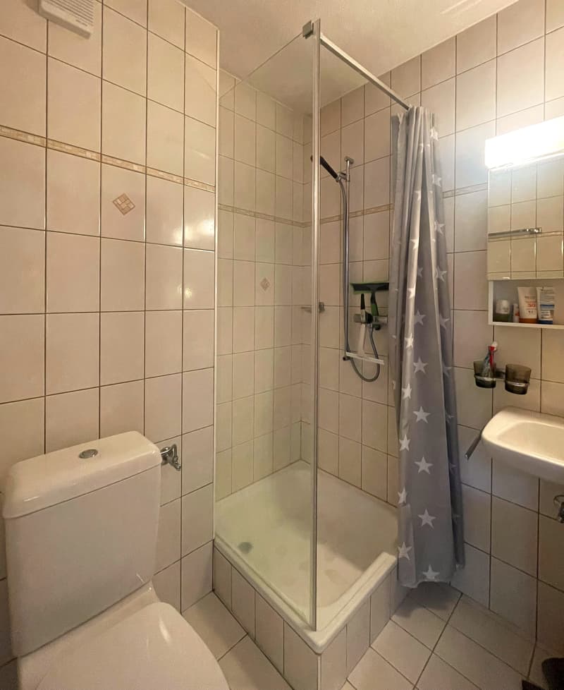 MOLESON | 2.5-ROOM APARTMENT (6)
