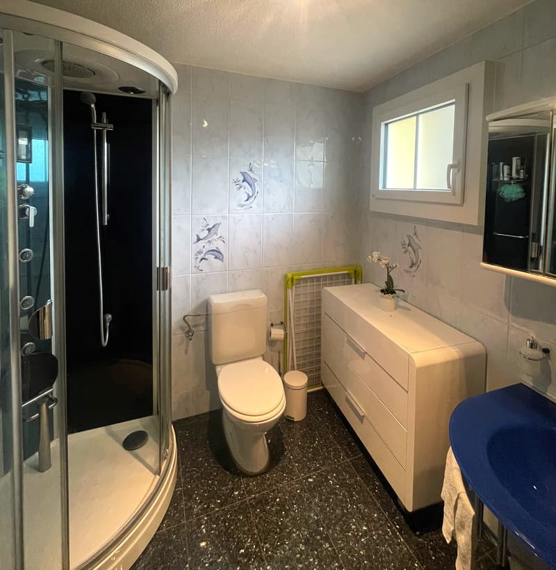 MOLESON | 2.5-ROOM APARTMENT (5)