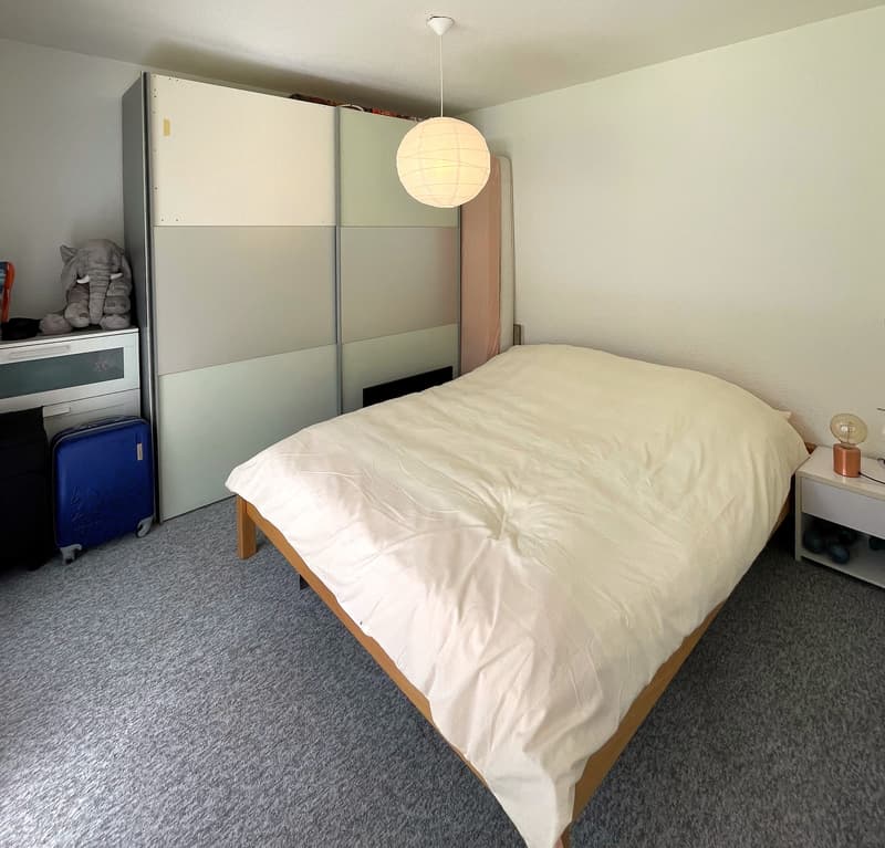 MOLESON | 2.5-ROOM APARTMENT (3)