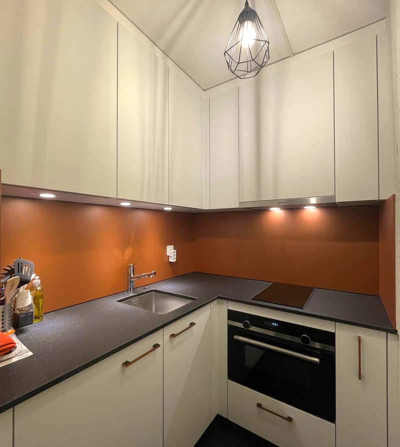 MOLESON | 2-ROOM APARTMENT (4)