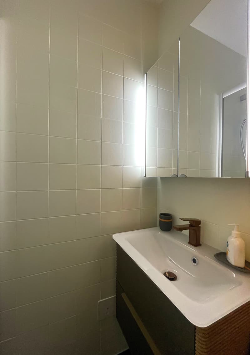 MOLESON | 2-ROOM APARTMENT (5)