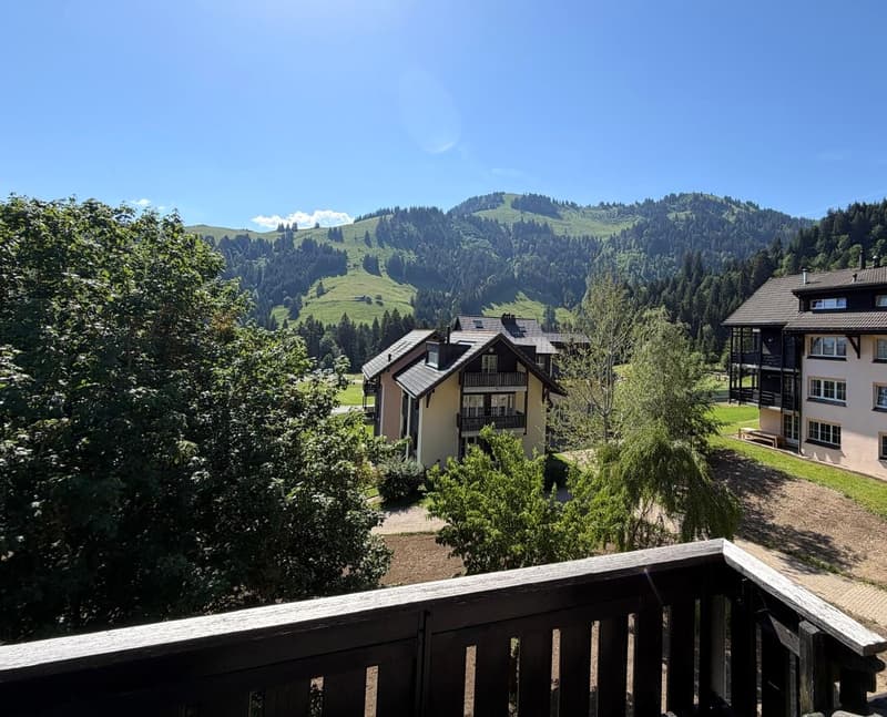 MOLESON | APPARTEMENT 3.5 p en duplex (7)