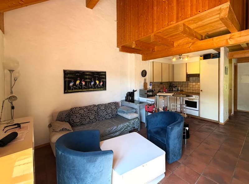 MOLESON | APPARTEMENT 3.5 p en duplex (2)