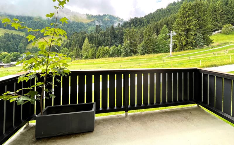 MOLESON | 2.5-Room Apartment (7)