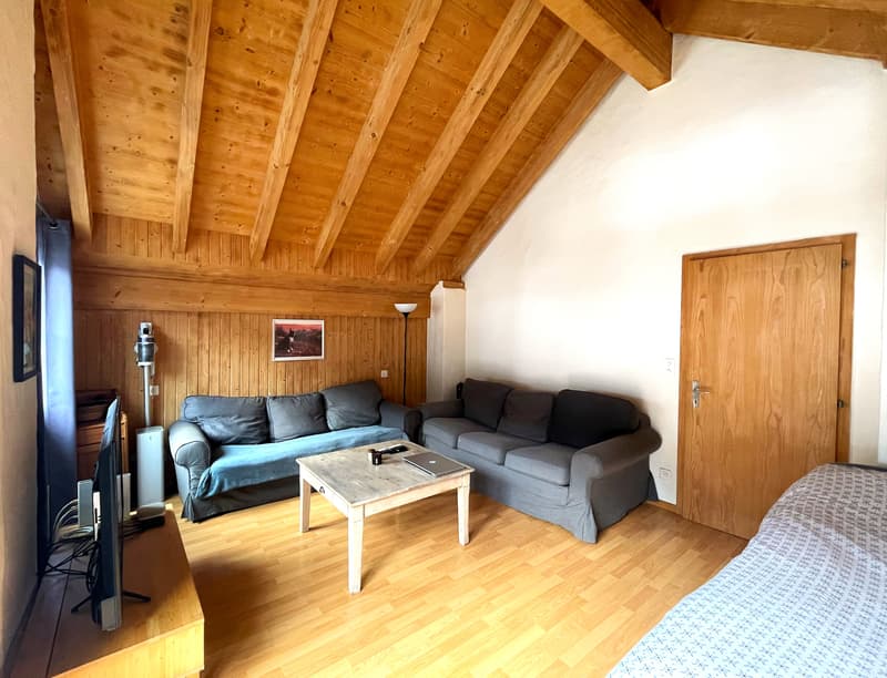 MOLESON | 5.5-ROOM APARTMENT (6)