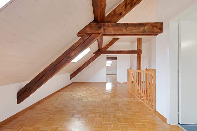 Splendid 5-room duplex apartment, just two steps from Cornavin Station (8)