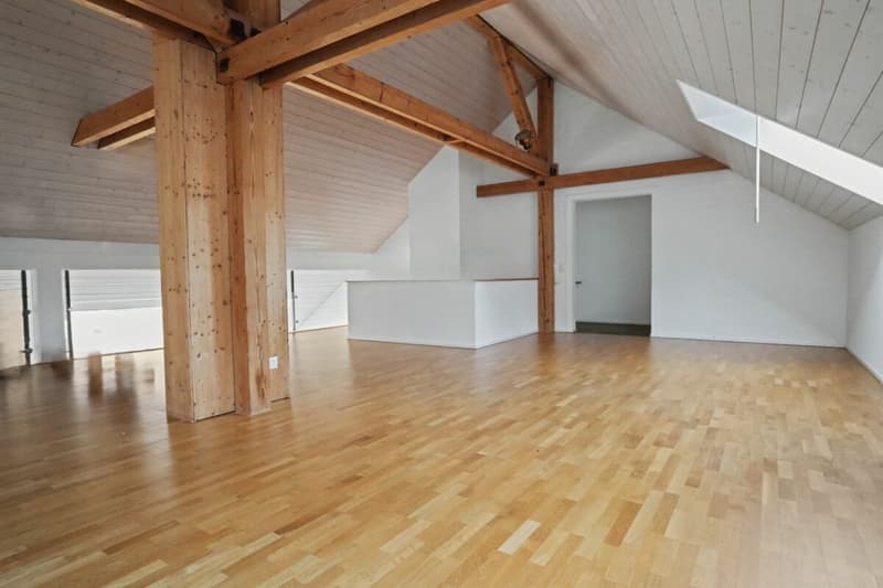 Appartement 3,5 pièces sous les combles avec galerie (10)