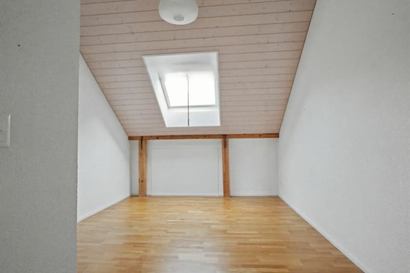 Appartement 3,5 pièces sous les combles avec galerie (6)