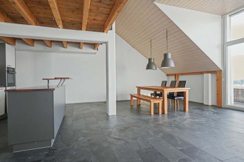 Appartement 3,5 pièces sous les combles avec galerie (3)