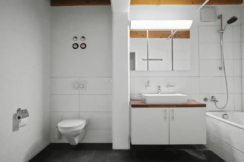 Appartement 3,5 pièces sous les combles avec galerie (8)