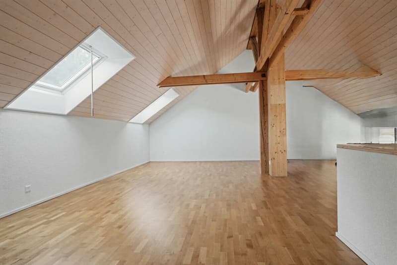 Appartement 3,5 pièces sous les combles avec galerie (9)