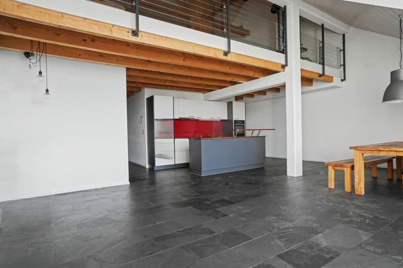 Appartement 3,5 pièces sous les combles avec galerie (2)