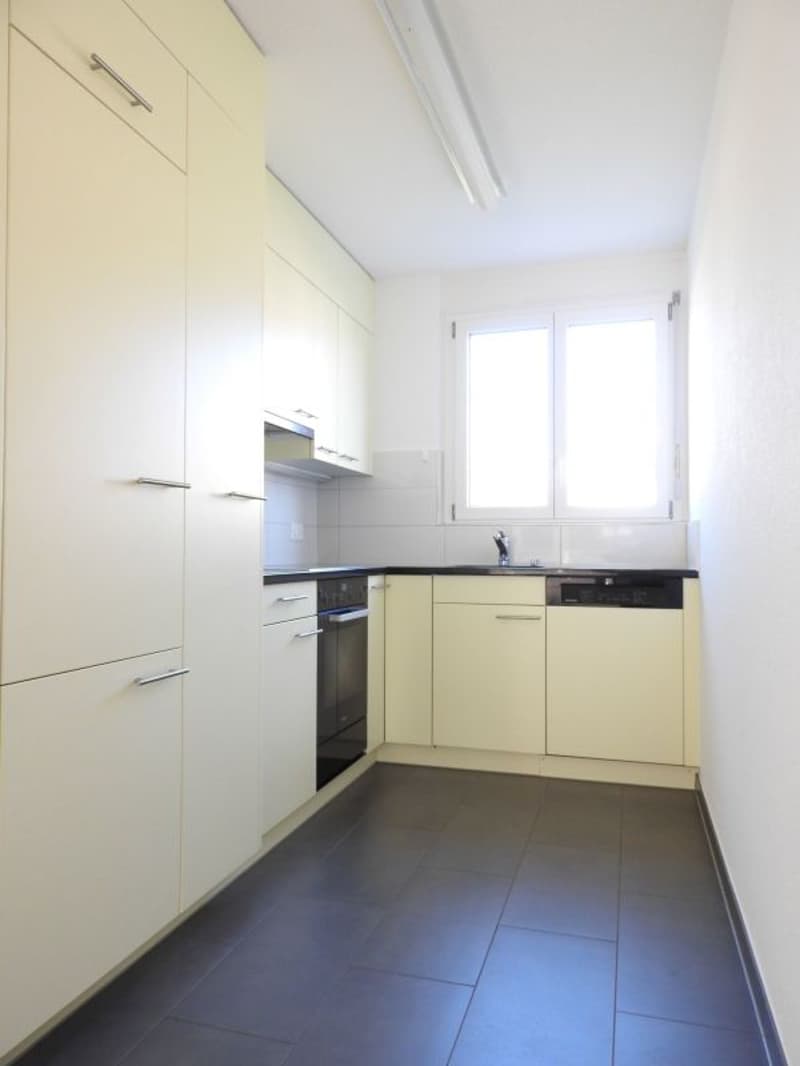Affascinante appartamento di 3,5 locali nel quartiere di Blüemlismatt (3)