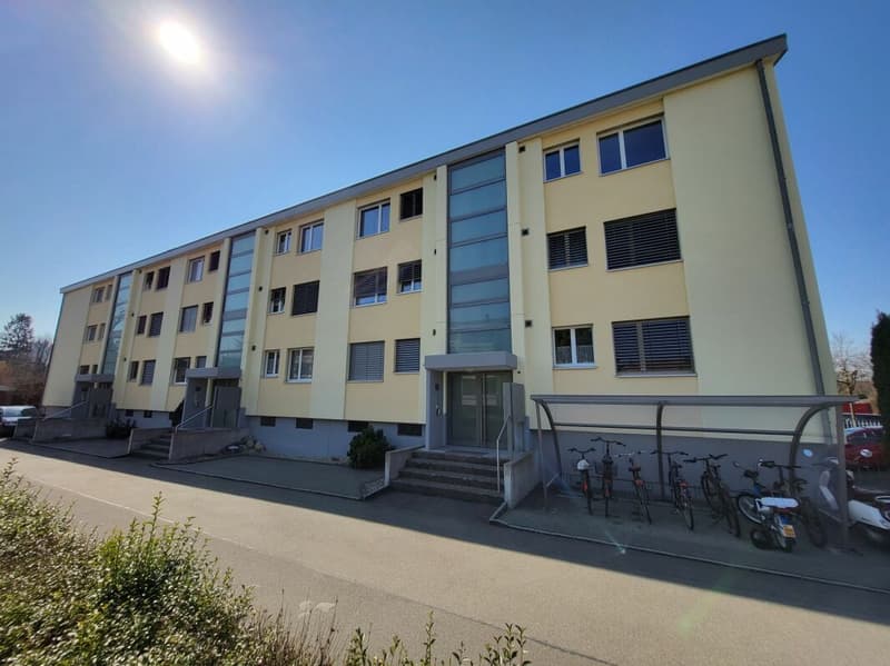 Affascinante appartamento di 3,5 locali nel quartiere di Blüemlismatt (2)