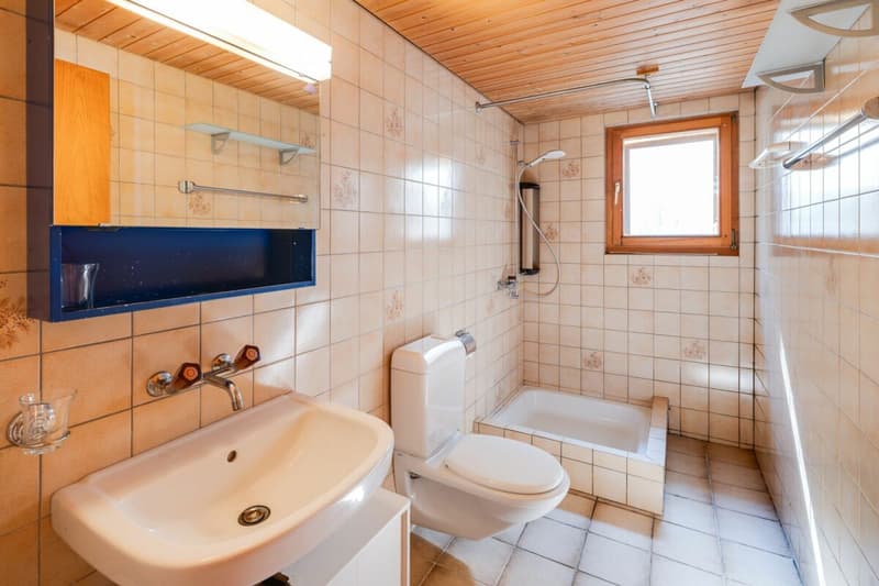 4.5-Room Single-Family House with Studio Apartment (12)