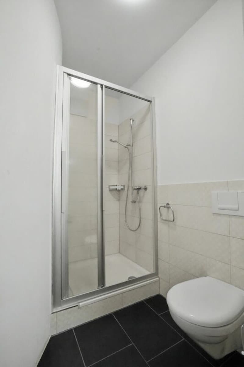 Appartement de 4,5 pièces dans un immeuble ancien au cœur d'Aarberger Stedtli ! (7)