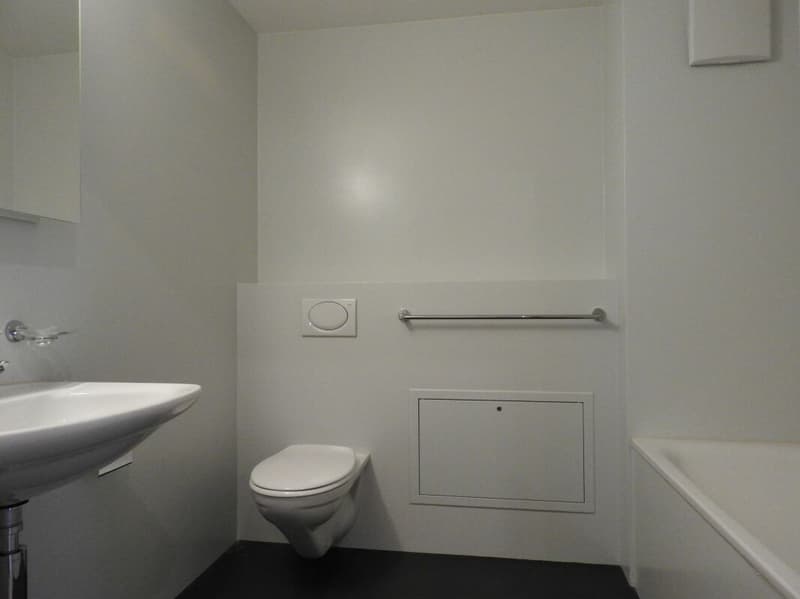 Centrally located 4.5-room apartment in Aarberg (4)