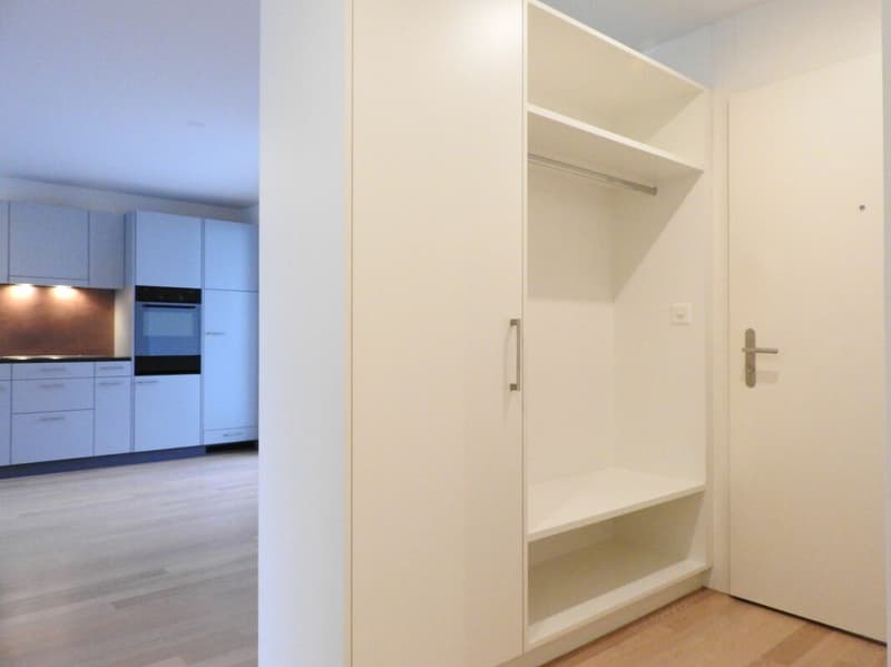 Centrally located 4.5-room apartment in Aarberg (8)