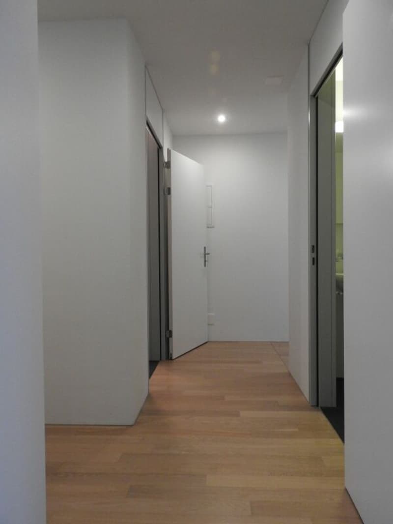 Centrally located 4.5-room apartment in Aarberg (6)
