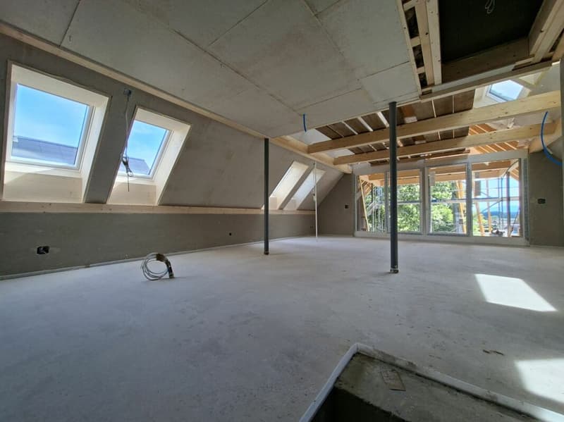 First-time rental of a unique 4.5-room duplex apartment (3)