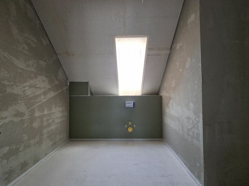 First-time rental of a unique 4.5-room duplex apartment (9)