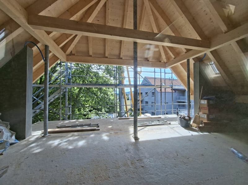 First-time rental of a unique 4.5-room duplex apartment (2)