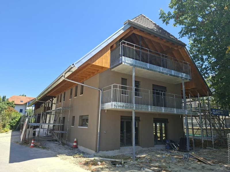 First-time rental of a unique 4.5-room duplex apartment (1)