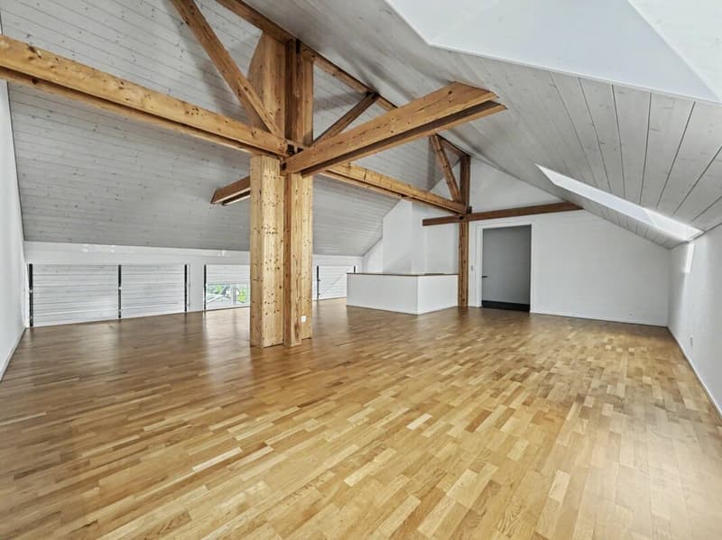 Wunderschöne Wohnung mit traumhafter Aussicht (8)