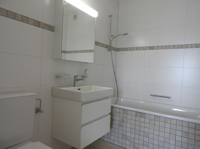 Schöne, moderne 4.5-Zimmer-Wohnung (3)