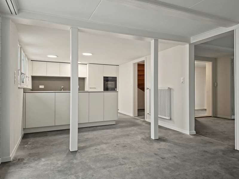 Erstvermietung einer sanierten 4.5-Zimmer-Duplexwohnung (2)
