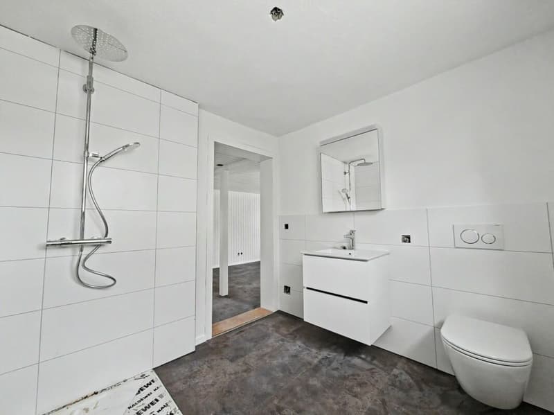 Top sanierte 2.5-Zimmer-Wohnung (2)