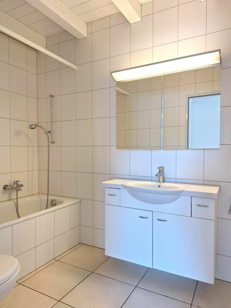 Sie suchen eine 3.5-Zimmer-Galeriewohnung? Schauen Sie rein! (3)